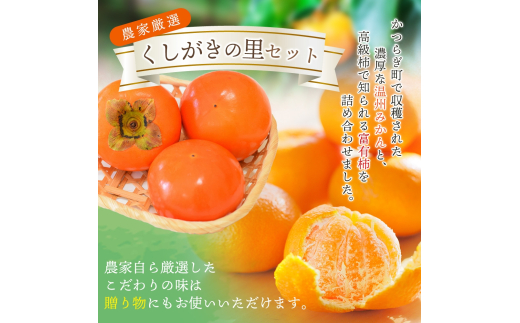 ãå
è¡äºçŽã éã®é§
ããããã®éã»ããÂ å¯ææ¿3åã»æž©å·ã¿ããçŽ30åã®è©°ãåãã ãã ãã蟲家å³éžÂ ã2026幎11æåæ¬é ãã2026幎12æäžæ¬é é æ¬¡çºéã/ ã¿ãã æž©å·ã¿ãã æ¿ å¯ææ¿ ãã è©°ãåãã æç©è©°ãåãã æç© ãã«ãŒã ããã€ãkgr022ã