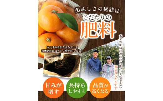 【L～3Lサイズおまかせ】※秀優混合 丹生系みかん 2kg ※箱込み【2025年2月初旬から2月下旬頃発送予定】＜味好農園＞/ 丹生系 にゅうけい みかん 柑橘 果物 フルーツ ミカン 訳あり 秀品 優品【agy029A】