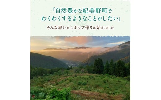 紀美野町産ホップ100%使用！ きみのホップ 24本入り / ビール 地ビール ホップ 国産 さわやか 晩酌 パーティ 飲み会 和歌山県 紀美野町【kml001】
