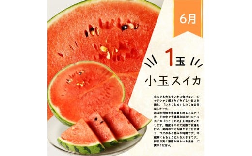 【全3回】かつらぎ町のフルーツ定期便（すいか・桃・梨）【6月・7月・8月】【tkb428】