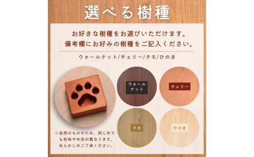 肉球ペン立て 四角〈工房 アトリエやどり 和歌山県 紀美野町〉/  木工品 ペン立て かわいい 木材 キューブ ひのき 桧 天然 木工 手作り プレゼント ギフト 【atr003】