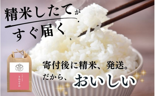 和歌山県産の お米 きぬむすめ 10kg (5kg×2袋) 〈令和6年度産〉 産地直送 / 米 こめ ご飯 ごはん 白米 国産 和歌山県産 小分け【hio104】