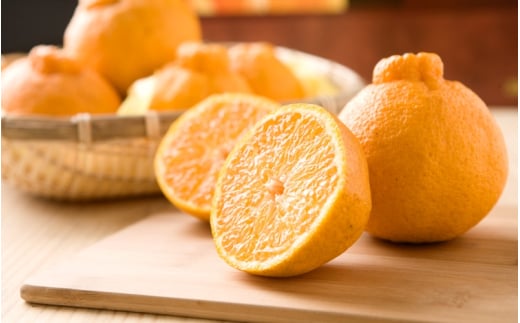 【先行予約】【数量わずか】樹上完熟しらぬい（不知火） 約2kg(6個) 秀品 2026年2月末～2026年4月中頃に順次発送予定（お届け日指定不可）/ 和歌山 みかん しらぬい 不知火 フルーツ 柑橘 蜜柑 果物 くだもの【kgr005】