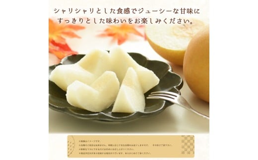 【全2回】かつらぎ町のフルーツ定期便ミニ（桃・梨）【8月・9月】【tkb427】