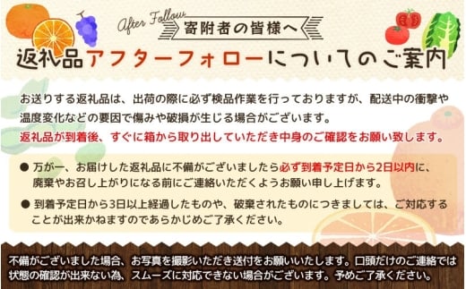 【全4回】和歌山旬のカンキツ定期便【L】3・5・9・11月発送（ご家庭用）※北海道・沖縄県・離島への配送不可 / 春の柑橘 初夏の柑橘 青切り 有田みかん 完熟有田みかん フルーツ くだもの 果物【ard-tkb907】