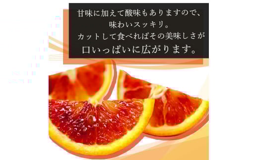 åžå°ãªææ©!çŽå·æç°ç£ãã©ãããªã¬ã³ãžçŽ5kg ããå®¶åºçšãâ»2026幎3æäžæ¬é ïœ3æäžæ¬é ã«é 次çºé (ãå±ãæ¥æå®äžå¯) ãuot853ã