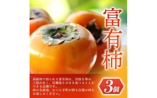 ãå
è¡äºçŽã éã®é§
ããããã®éã»ããÂ å¯ææ¿3åã»æž©å·ã¿ããçŽ30åã®è©°ãåãã ãã ãã蟲家å³éžÂ ã2026幎11æåæ¬é ãã2026幎12æäžæ¬é é æ¬¡çºéã/ ã¿ãã æž©å·ã¿ãã æ¿ å¯ææ¿ ãã è©°ãåãã æç©è©°ãåãã æç© ãã«ãŒã ããã€ãkgr022ã