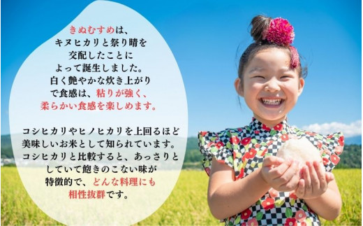 和歌山県産の お米 きぬむすめ 10kg (5kg×2袋) 〈令和6年度産〉 産地直送 / 米 こめ ご飯 ごはん 白米 国産 和歌山県産 小分け【hio104】