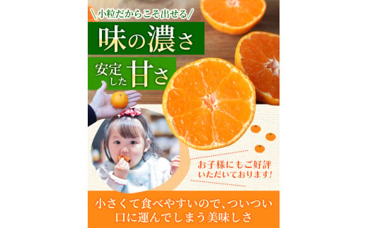 お試しにピッタリ！ 温州みかん 「小粒っこ」 2kg ※秀優混合 【2S～3Sサイズおまかせ】【2026年10月中旬～2027年2月下旬までに順次発送】(極早生・早生・中生・晩稲)＜味好農園＞/ 温州 みかん 小玉 蜜柑 柑橘 みかん 極早生 早生 中生 晩稲 小粒 果物 フルーツ 【agy004-s-2】