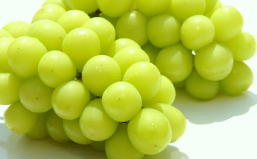 【定期便】定期便全3回 【7月・8月・9月発送】 和歌山の夏の人気フルーツをお届け（桃・梨・シャイン）【tkb429】 