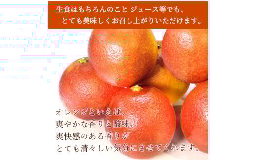 åžå°ãªææ©!çŽå·æç°ç£ãã©ãããªã¬ã³ãžçŽ5kg ããå®¶åºçšãâ»2026幎3æäžæ¬é ïœ3æäžæ¬é ã«é 次çºé (ãå±ãæ¥æå®äžå¯) ãuot853ã