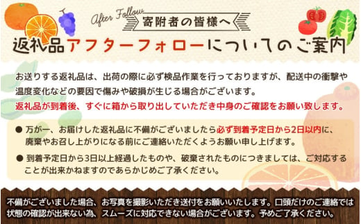 【全3回】紀州和歌山産旬のご家庭用柑橘セット(みかん・不知火・清見)【tkb411】