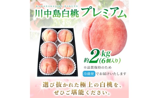 【2026年発送分先行予約】数量限定！【モモ】川中島白桃 約2kg 6個入  100個に1個の特選最上級秀品！ こだわり農家厳選！【2026年7月末から8月末順次発送】/ 和歌山県 かつらぎ町 もも 桃 高級 贅沢 特選