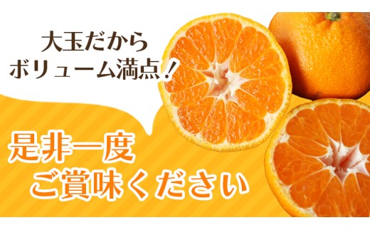 ボリューム満点！大玉  温州みかん 2kg ※秀優混合【2L～3Lサイズ】【2026年12月から2027年3月下旬頃に順次発送】＜味好農園＞/ 温州 蜜柑 みかん 柑橘 果物 フルーツ ミカン 甘い 美味しい【agy004-l-2】