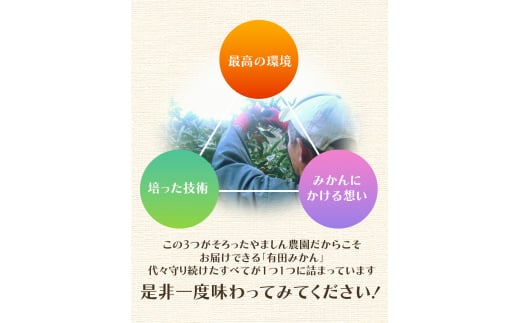 【2024年11月発送予約分】＼光センサー選別／ 【農家直送】【家庭用】こだわりの有田みかん 約6kg＋250g(傷み補償分) 先行予約 有機質肥料100% サイズ混合 【11月発送】みかん ミカン 有田みかん 温州みかん 柑橘 有田 和歌山 ※北海道・沖縄・離島配送不可/みかん ミカン 有田みかん 温州みかん 柑橘 有田 和歌山 産地直送【nuk102-1】