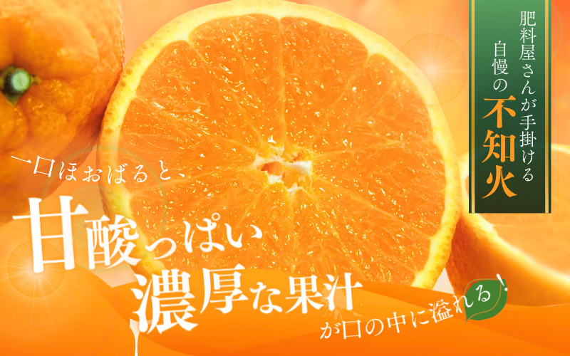 【先行予約】ご家庭用 不知火 5kg 【M～4Lのサイズおまかせ】【2027年1月下旬から2027年4月上旬頃に順次発送】＜味好農園＞/不知火 デコポン 蜜柑 みかん 柑橘 果物 フルーツ 【agy010-c-5】