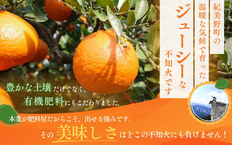 【先行予約】ご家庭用 不知火 5kg 【M～4Lのサイズおまかせ】【2027年1月下旬から2027年4月上旬頃に順次発送】＜味好農園＞/不知火 デコポン 蜜柑 みかん 柑橘 果物 フルーツ 【agy010-c-5】