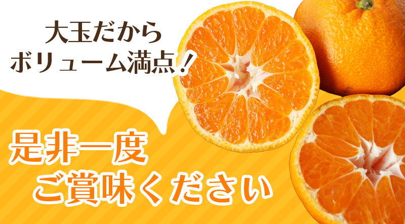 ボリューム満点！ 秀優品 大玉 温州みかん 4kg【2L～3Lサイズ】【2025年12月から2026年２月下旬頃に順次発送】＜味好農園＞/ 温州 蜜柑 みかん 柑橘 果物 フルーツ ミカン 甘い 美味しい【agy018A】