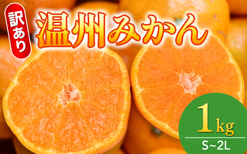 【和歌山県産】訳あり 温州みかん 1kg お試しに♪ (早生・中生・晩稲)【S～2Lサイズおまかせ】【2025年10月中旬～2026年2月中旬頃までに順次発送】＜味好農園＞/ 「おてんば娘」みかん 蜜柑 柑橘 温州みかん 訳あり 果物 フルーツ 甘い 果汁溢れる【agy037】