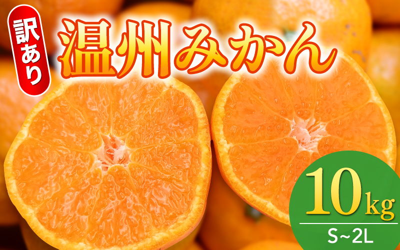 【先行予約】訳あり品 温州みかん 「おてんば娘」10kg(早生・中生・晩稲)【S～2Lサイズおまかせ】【2025年10月中旬～2026年1月中旬頃までに順次発送】＜味好農園＞/みかん 蜜柑 柑橘 温州みかん 訳あり 果物 フルーツ 【agy007】