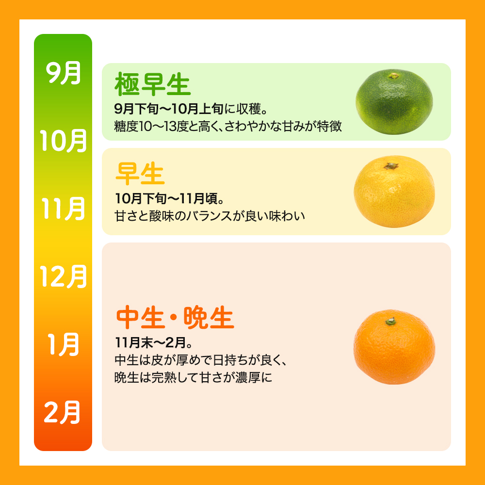 ãåæå±±çç£ãèš³ãã æž©å·ã¿ãã 1kg ã詊ãã«âª (æ©çã»äžçã»æ©çš²)ãSïœ2Lãµã€ãºããŸãããã2026幎10æäžæ¬ïœ2027幎2æäžæ¬é ãŸã§ã«é 次çºéãïŒå³å¥œèŸ²åïŒ/ ãããŠãã°åšãã¿ãã èæ ææ© æž©å·ã¿ãã èš³ãã æç© ãã«ãŒã çã ææ±æº¢ãããagy004-c-1ã
