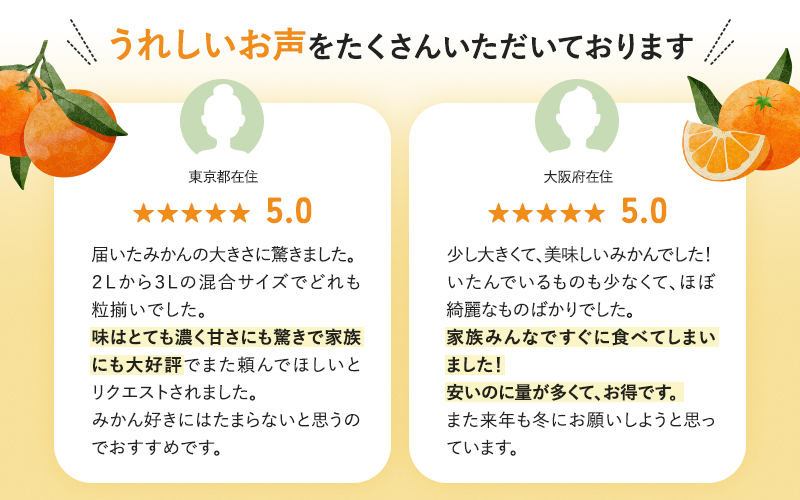 ボリューム満点！ 秀優品 大玉 温州みかん 4kg【2L～3Lサイズ】【2025年12月から2026年２月下旬頃に順次発送】＜味好農園＞/ 温州 蜜柑 みかん 柑橘 果物 フルーツ ミカン 甘い 美味しい【agy018A】