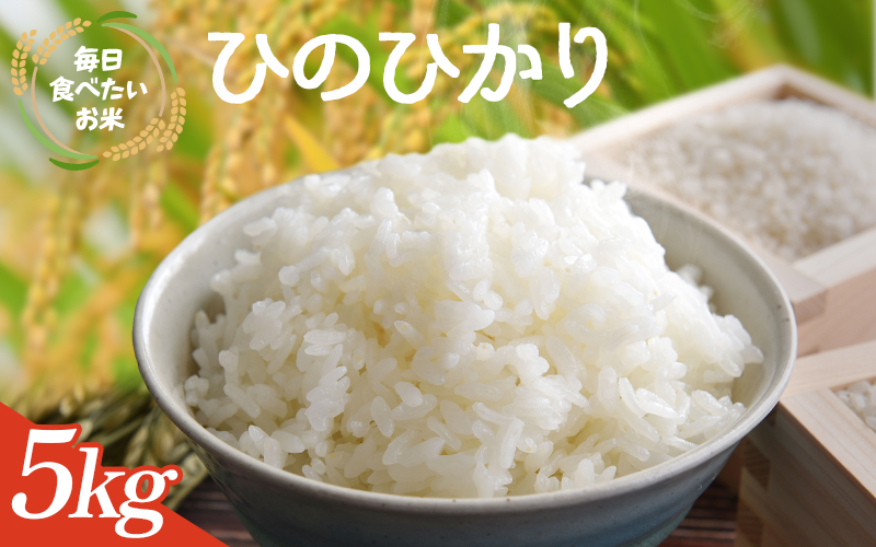 【数量限定】新米 和歌山県産 ひのひかり 5kg(2025年産) / 白米 新米 コメ 産地直送 米 こめ ご飯 ごはん ひのひかり おにぎり お弁当 【agy040】