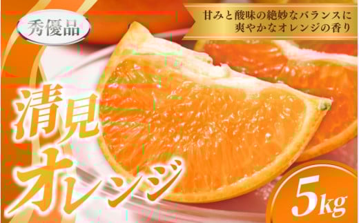 【先行予約】秀優品  清見オレンジ  5kg 【S～３Lサイズ混合】【2026年3月中旬から2026年4月中旬頃に順次発送】/みかん 清見 和歌山 フルーツ 有田 果物 オレンジ 甘い ジューシー【agy020A】