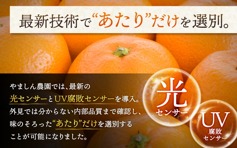 《極》 有田みかん 「プレミアム」 約5kg【選りすぐりの上位20％をお届け！】2S～Lサイズ 有機質肥料100% ※2025年11月下旬～2026年1月上旬頃順次発送 ※北海道・沖縄・離島への配送不可 / ミカン 蜜柑 柑橘 フルーツ くだもの 果物 温州 有田 甘い 高級 贈答品 贈り物 新鮮 【nuk155G】