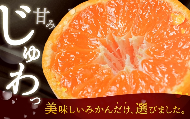 《極》 有田みかん 「プレミアム」 約5kg【選りすぐりの上位20％をお届け！】2S～Lサイズ 有機質肥料100% ※2025年11月下旬～2026年1月上旬頃順次発送 ※北海道・沖縄・離島への配送不可 / ミカン 蜜柑 柑橘 フルーツ くだもの 果物 温州 有田 甘い 高級 贈答品 贈り物 新鮮 【nuk155G】