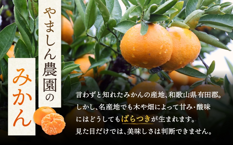 《極》 有田みかん 「プレミアム」 約5kg【選りすぐりの上位20％をお届け！】2S～Lサイズ 有機質肥料100% ※2025年11月下旬～2026年1月上旬頃順次発送 ※北海道・沖縄・離島への配送不可 / ミカン 蜜柑 柑橘 フルーツ くだもの 果物 温州 有田 甘い 高級 贈答品 贈り物 新鮮 【nuk155G】