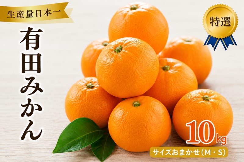 有田 みかん 特選 10kg / 温州みかん 有田みかん 甘い 高級 和歌山 柑橘 ※2026年12月順次発送予定 ※北海道・沖縄・離島への配送不可 【sml004-p-10】