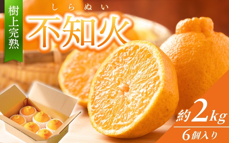 【先行予約】【数量わずか】樹上完熟しらぬい（不知火） 約2kg(6個) 秀品 2026年2月末～2026年4月中頃に順次発送予定（お届け日指定不可）/ 和歌山 みかん しらぬい 不知火 フルーツ 柑橘 蜜柑 果物 くだもの【kgr005】