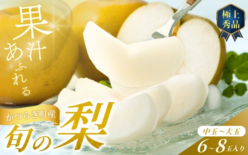 ãå
è¡äºçŽãæ¬ã®æ¢š(幞氎ãŒè±æ°ŽãŒããã¥ã) 極äžç§åïŒäžçïœå€§çïŒ6ïœ8åå
¥ã 2026幎8æäžæ¬ïœ9æäžæ¬é ã«é 次çºéäºå®ïŒãå±ãæ¥æå®äžå¯ïŒ/ åæå±± 梚 ãã«ãŒã æç© ãã ãã®ãkgr015ã