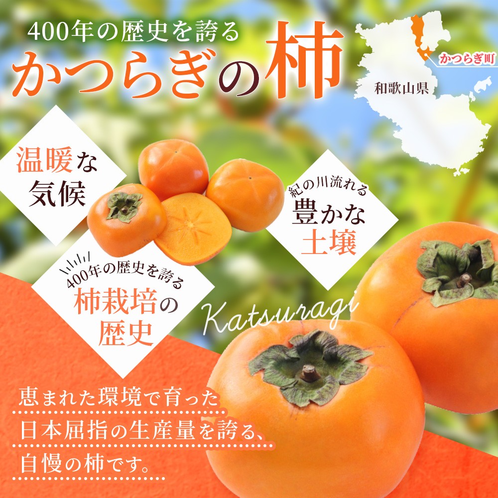 ã2026幎å
è¡äºçŽãçš®ç¡ãæ¿ æ©çåæ ¹æ¿ çŽ1.8kg 2026幎9æäžæ¬ïœ10æäžæ¬é ã«é 次çºéäºå®ïŒãå±ãæ¥æå®äžå¯ïŒ/ åæå±± æ¿ ãã ãã«ãŒã æç© ãã ãã® åæ ¹ çš®ç¡ããkgr003Aã