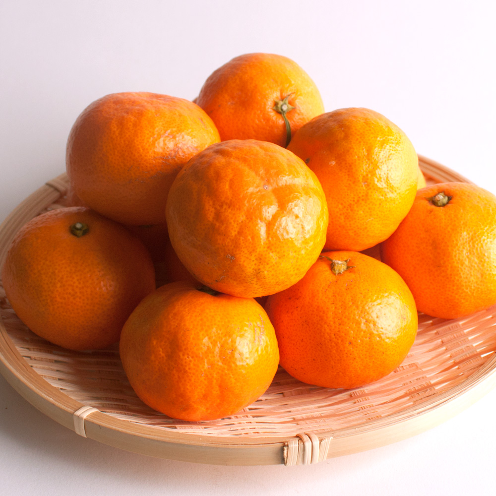 【先行予約】プレミアム有田みかん5kg+250g（傷み補償分）11月より発送(完熟)/ みかん ミカン 有田みかん 柑橘 フルーツ 果物 和歌山 オレンジ【ikd114C】 