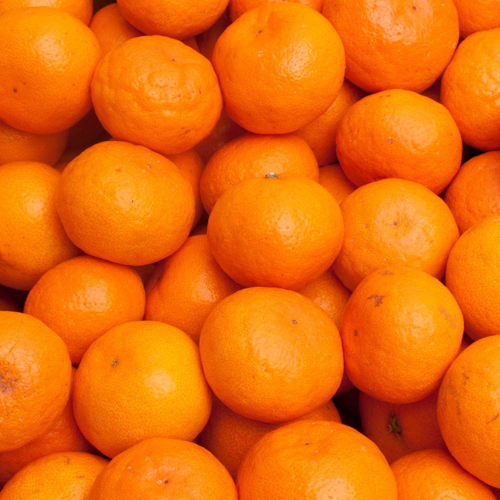 【先行予約】プレミアム有田みかん5kg+250g（傷み補償分）11月より発送(完熟)/ みかん ミカン 有田みかん 柑橘 フルーツ 果物 和歌山 オレンジ【ikd114C】 