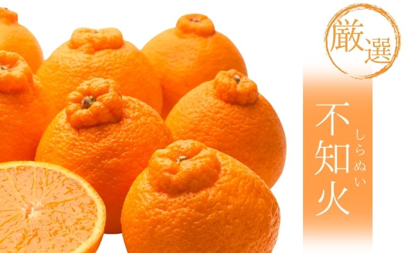 【先行予約】厳選不知火2.5kg+250g（傷み補償分）＜2月より発送＞/ みかん ミカン 有田みかん 柑橘 フルーツ 果物 和歌山 オレンジ【ikd052D】