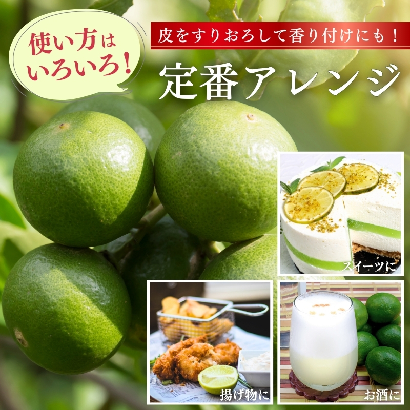 ＜先行予約＞わけあり レモン5kg+250g（傷み補償分）【和歌山有田産】【防腐剤・WAX不使用、安心の国産レモン】【わけあり・訳ありレモン】【ikd031C】