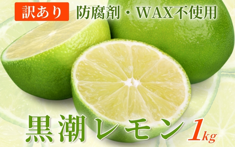 わけあり レモン1kg+250g（傷み補償分）【和歌山有田産】【防腐剤・WAX不使用、安心の国産レモン】【わけあり・訳ありレモン】※北海道・沖縄・離島への配送不可 / レモン 果物 くだもの フルーツ【ikd135B】