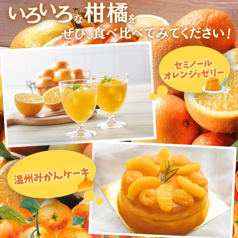 ＜1月より発送＞厳選 柑橘詰合せ2.5kg+250g（傷み補償分）【有田の春みかん詰め合わせ・フルーツ詰め合せ・オレンジつめあわせ】【光センサー選別】【ikd040D】