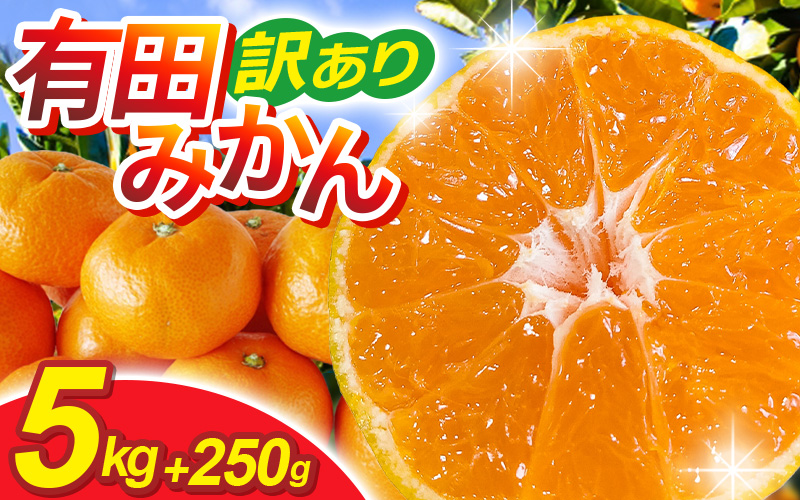 【先行予約】家庭用有田みかんサイズ混合(2S～2L)5kg+250g 11月より発送(完熟)/ みかん ミカン 有田みかん 柑橘 フルーツ 果物 和歌山 オレンジ【ikd007C】