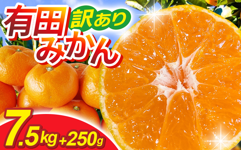 【先行予約】家庭用有田みかんサイズ混合(2S～2L)7.5kg+250g 11月より発送(完熟)/ みかん ミカン 有田みかん 柑橘 フルーツ 果物 和歌山 オレンジ【ikd116D】