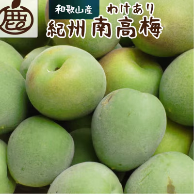 青梅 家庭用 南高梅 10kg+250g（痛み補償分） / 梅 梅ジュース 梅酒 梅干し 高級 和歌山 ※5月中旬～6月下旬頃に発送予定 ※北海道・沖縄・離島への配送不可 【ikd508-c-10H】