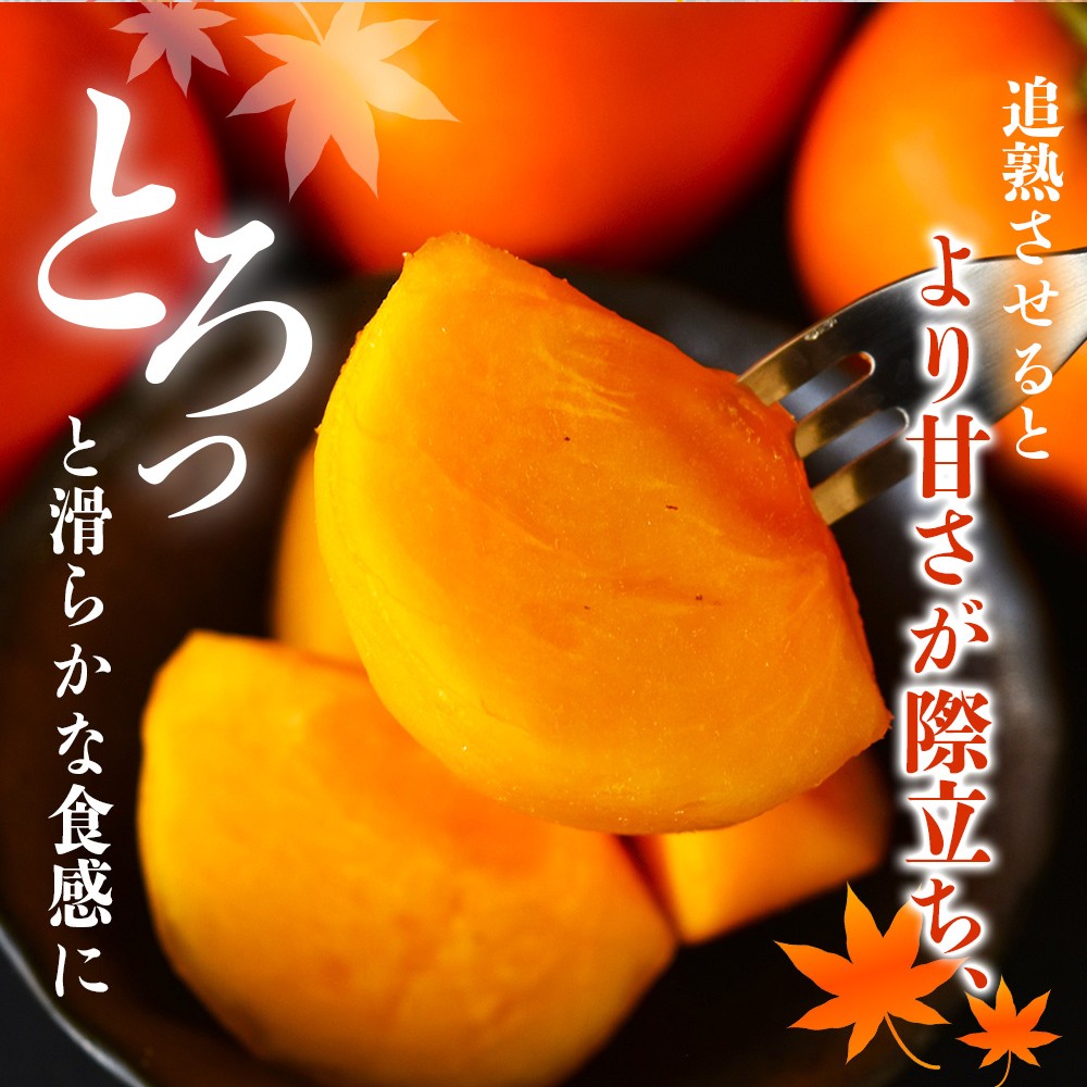 【先行予約】種無し柿 刀根早生柿 秀品大玉 約1.8kg（6個） 2026年9月下旬～10月下旬頃に順次発送予定（お届け日指定不可）/ 柿 かき 種無し 秀品 大玉 フルーツ 果物 くだもの【kiy002A】