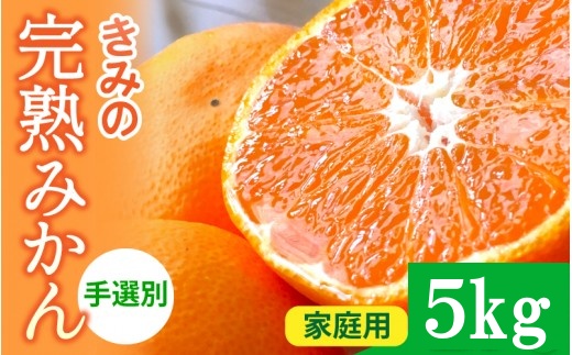 あま～い！ カツオの有機肥料が味の決め手！ 「きみの完熟ミカン」 5kg (40~60個程度) サイズ混合 2S~L ご家庭用(秀優混合) / みかん ミカン 柑橘 和歌山県 有機 手選別 【kmf004-c-5】