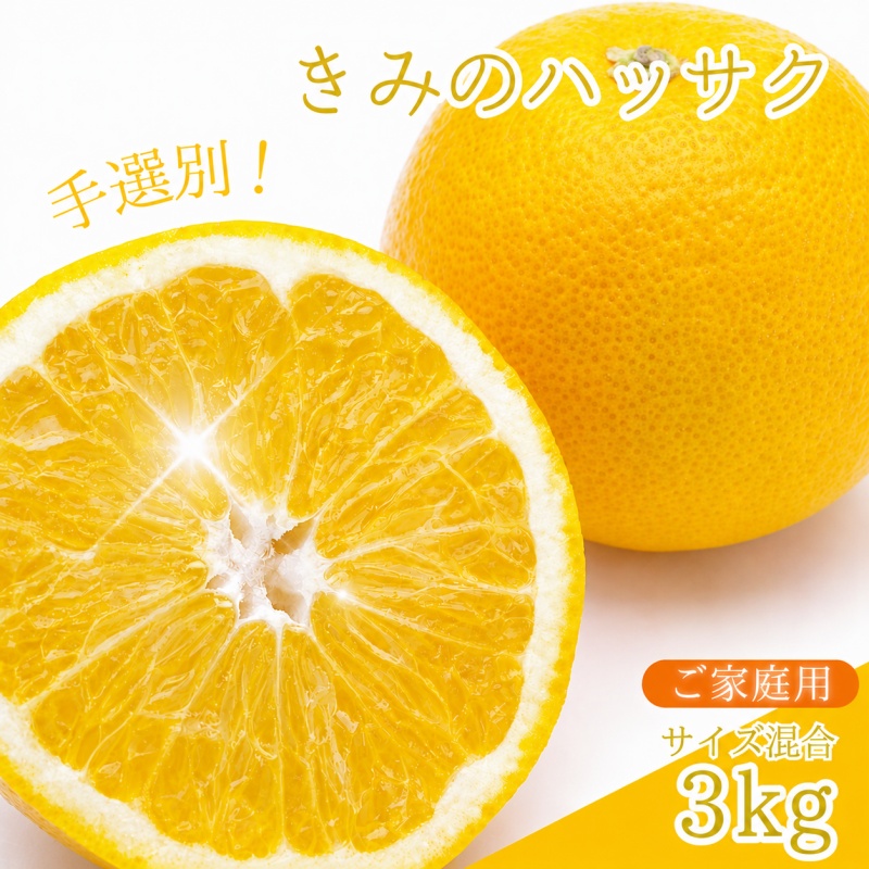新鮮！はじける食感！「きみのハッサク」3kg  サイズ L~2L ご家庭用(秀優混合)/八朔 柑橘 和歌山県 手選別 【kmf011】