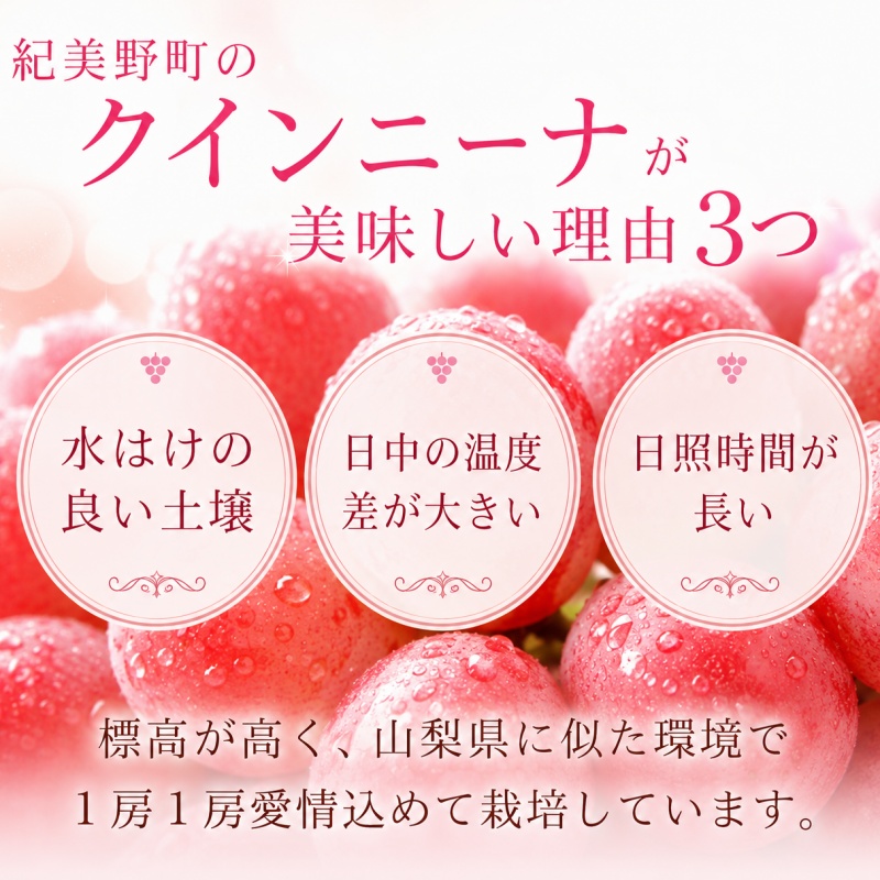 ã¯ã€ã³ããŒã çŽ500g (1æ¿ïœ2æ¿) ç§å / ã¶ã©ã ã®ãã èŽç æ¬ ãã«ãŒã æç© åæå±± çŽçŸéçºç£ â»2026幎9æäžæ¬ïœ10æäžæ¬ã«é 次çºéãfrt502-r-0d5ã