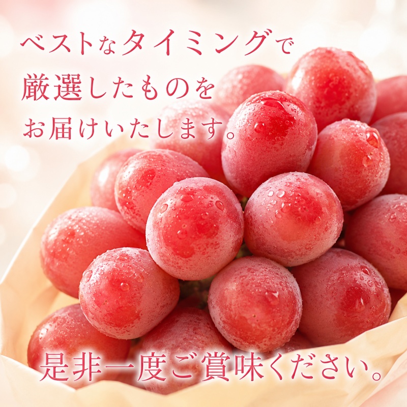 ã¯ã€ã³ããŒã çŽ500g (1æ¿ïœ2æ¿) ç§å / ã¶ã©ã ã®ãã èŽç æ¬ ãã«ãŒã æç© åæå±± çŽçŸéçºç£ â»2026幎9æäžæ¬ïœ10æäžæ¬ã«é 次çºéãfrt502-r-0d5ã