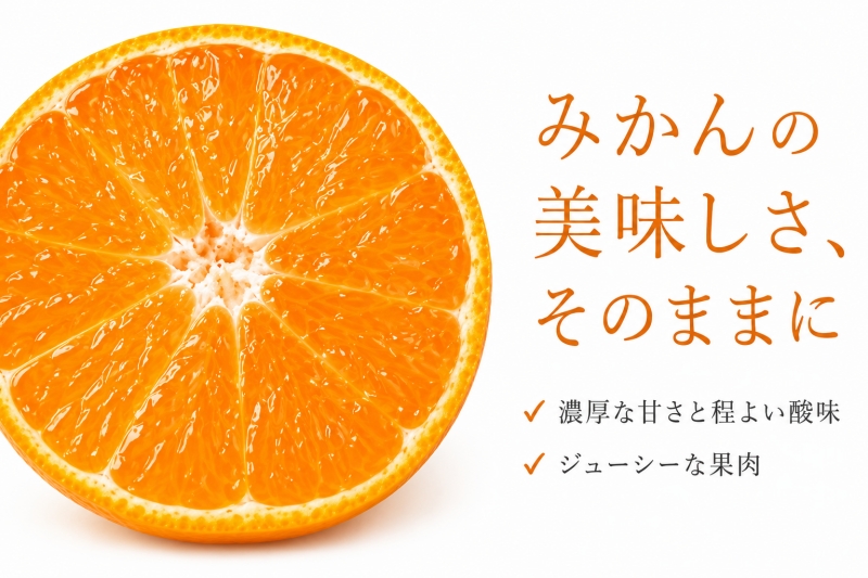和歌山 有田 みかん 10kg 訳あり ご家庭用 2S〜2Lサイズ混合 / 有田みかん 甘い 柑橘  和歌山 ※2026年11月下旬頃〜12月下旬頃に順次発送予定 【uot004-c-10】